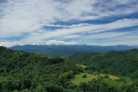 Alta Langa Landscape